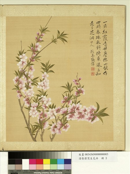 清張偉寫生花卉　冊　桃花
