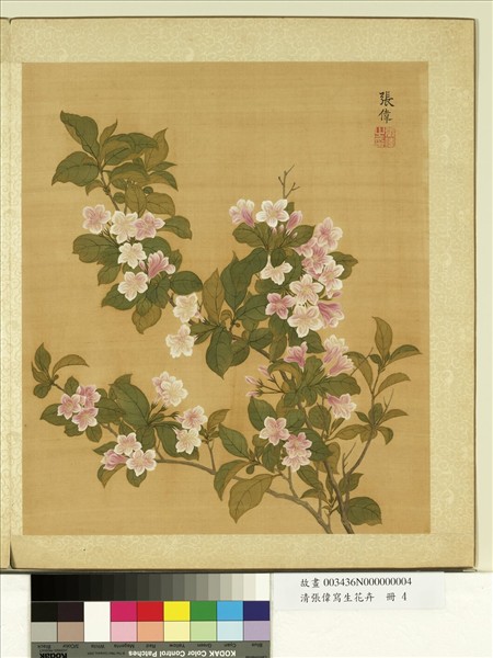 清張偉寫生花卉　冊　郁李花