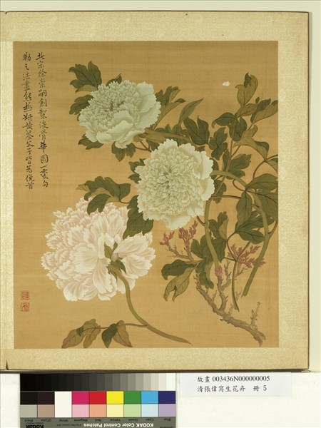 清張偉寫生花卉　冊　牡丹