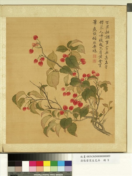 清張偉寫生花卉　冊　櫻桃