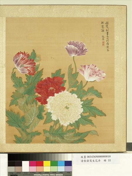 清張偉寫生花卉　冊　罌粟