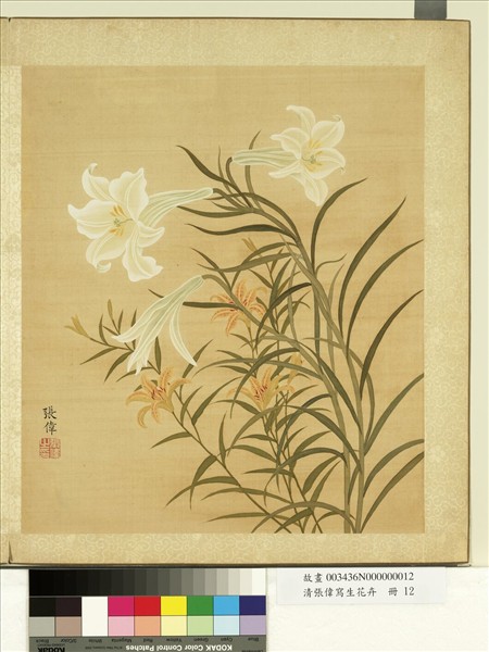 清張偉寫生花卉　冊　萱花百合