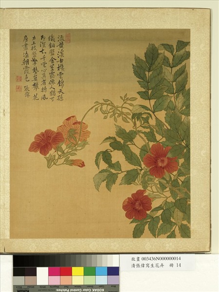 清張偉寫生花卉　冊　凌霄