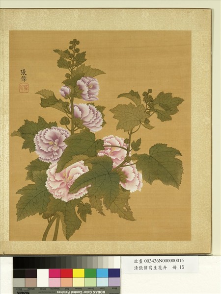 清張偉寫生花卉　冊　蜀葵