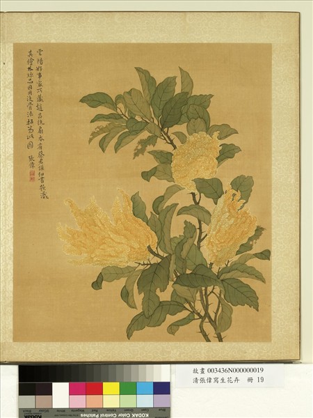 清張偉寫生花卉　冊　佛手柑