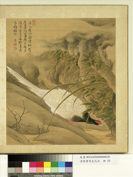 清張偉寫生花卉　冊　竹石山雞