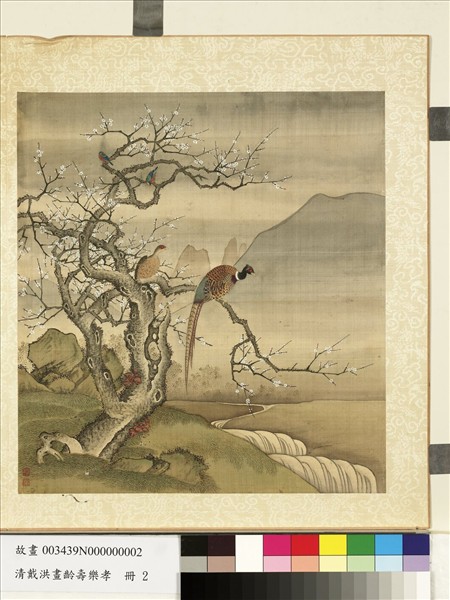 清戴洪畫齡壽萬年　冊　綿雉老梅