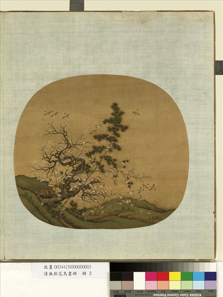 清無款花鳥畫冊　冊　竹雀