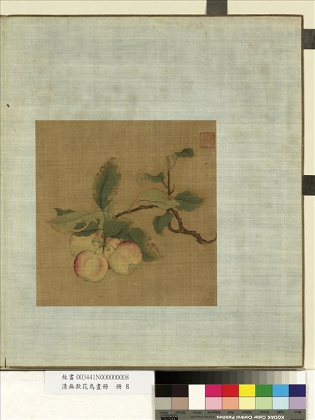 清無款花鳥畫冊　冊　林檎