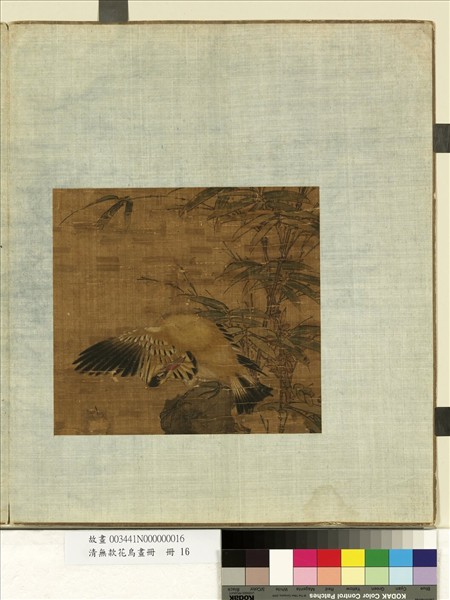 清無款花鳥畫冊　冊　黃鸝