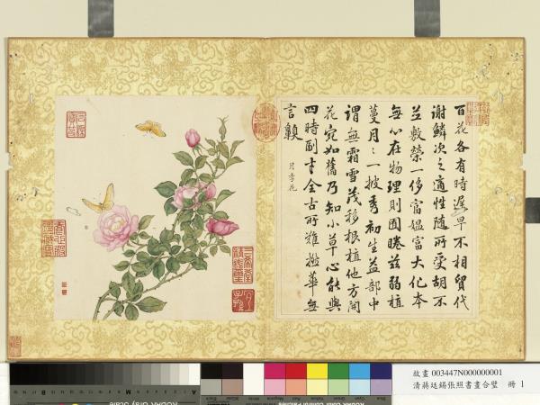 清蔣廷錫張照書畫合璧　冊　月季披秀