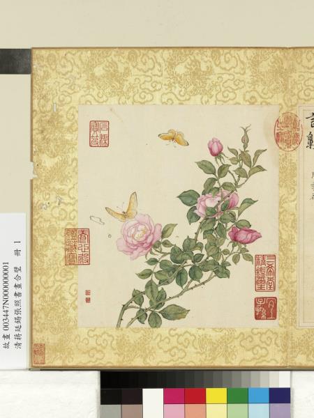 清蔣廷錫張照書畫合璧　冊　月季披秀