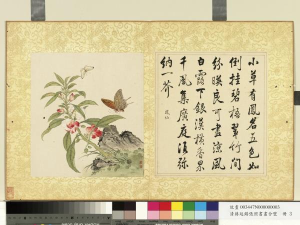 清蔣廷錫張照書畫合璧　冊　鳳仙倒掛