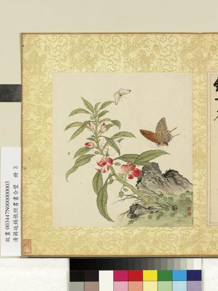 清蔣廷錫張照書畫合璧　冊　鳳仙倒掛