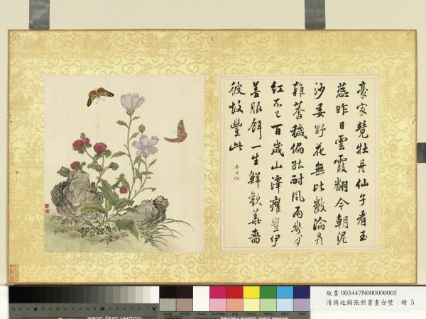 清蔣廷錫張照書畫合璧　冊　玉蕊雲霞