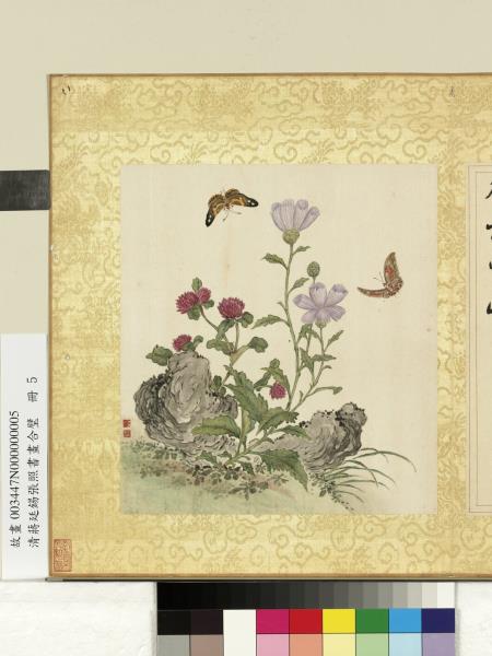 清蔣廷錫張照書畫合璧　冊　玉蕊雲霞