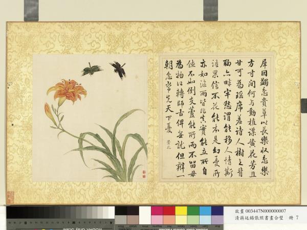 清蔣廷錫張照書畫合璧　冊　萱花蜻蜓
