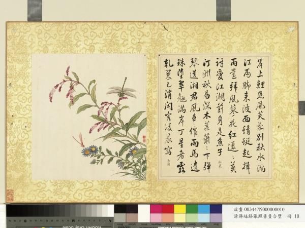 清蔣廷錫張照書畫合璧　冊　紅蓼馬蘭