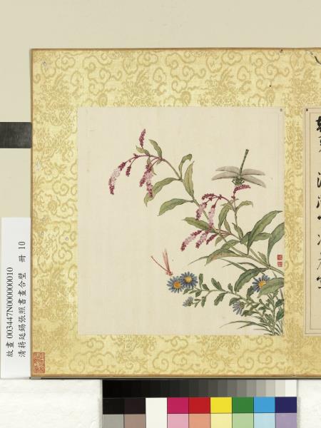 清蔣廷錫張照書畫合璧　冊　紅蓼馬蘭