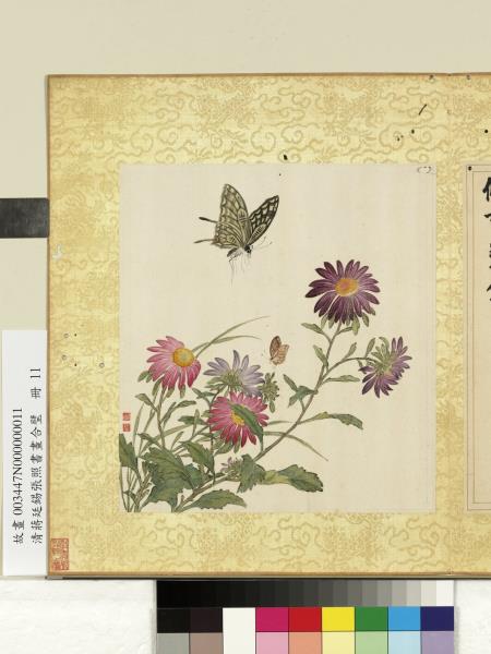 清蔣廷錫張照書畫合璧　冊　藍菊斑爛