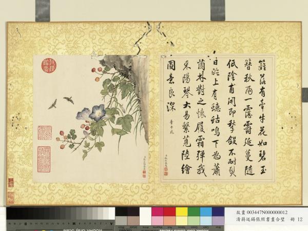 清蔣廷錫張照書畫合璧　冊　牽牛花開