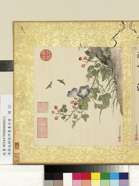 清蔣廷錫張照書畫合璧　冊　牽牛花開