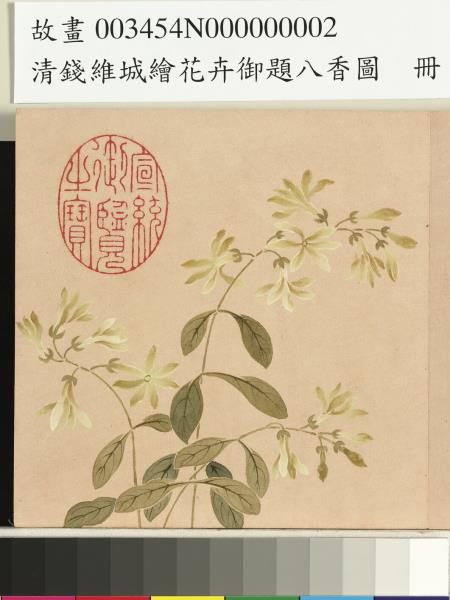 清錢維城繪花卉御題八香圖　冊　夜來香