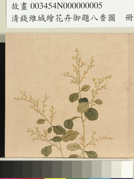 清錢維城繪花卉御題八香圖　冊　珠蘭