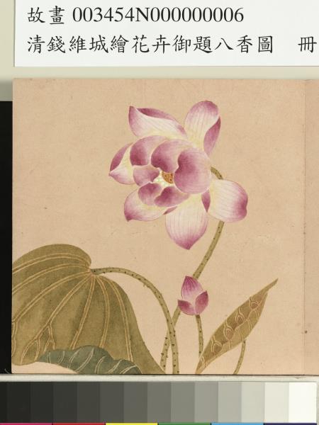 清錢維城繪花卉御題八香圖　冊　荷花