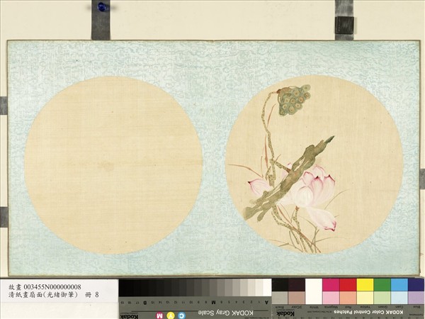 清光緒御筆絹畫扇面　冊　蓮蓬蘆花