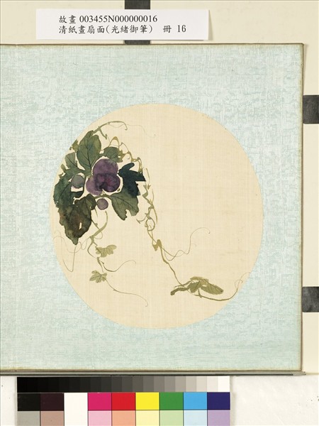 清光緒御筆絹畫扇面　冊　設色葡萄