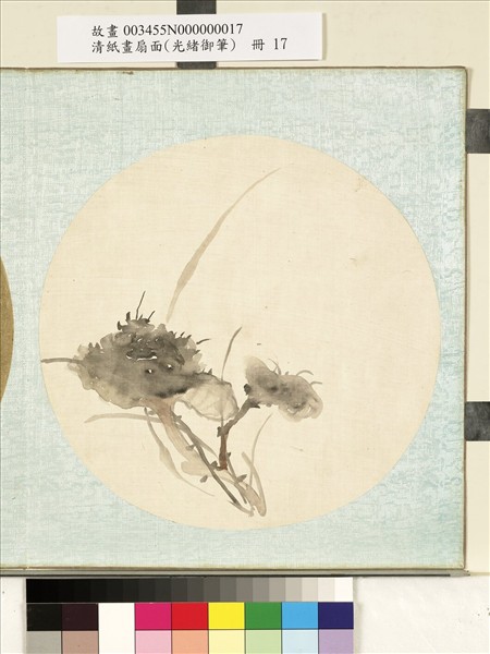 清光緒御筆絹畫扇面　冊　設色靈芝