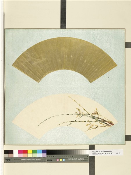 清光緒御筆指畫紙扇面　冊　蘭心蕙質