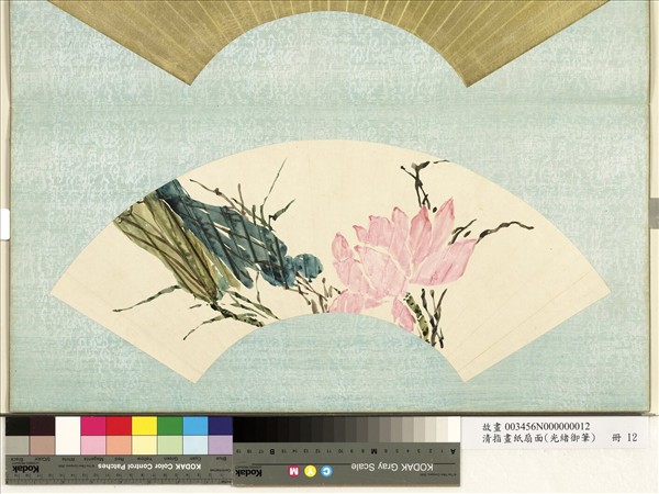 清光緒御筆指畫紙扇面　冊　荷花蘆葦