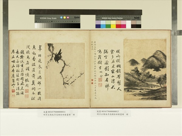 明方正陽朱昂高朗徐世揚畫冊　冊　茂樹蟬鳴