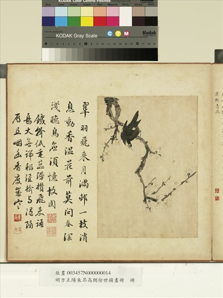 明方正陽朱昂高朗徐世揚畫冊　冊　茂樹蟬鳴