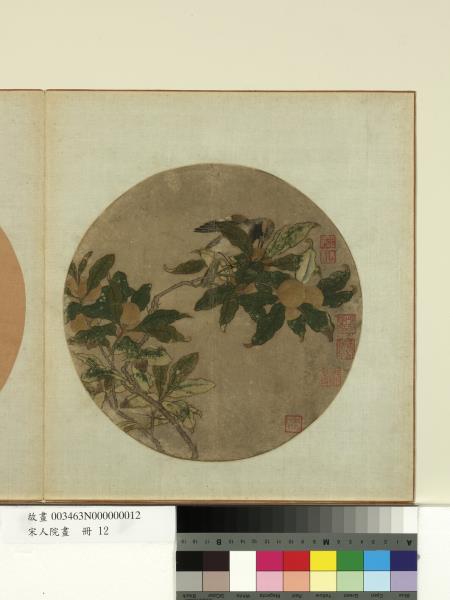 宋人院畫　冊　宋人翎毛