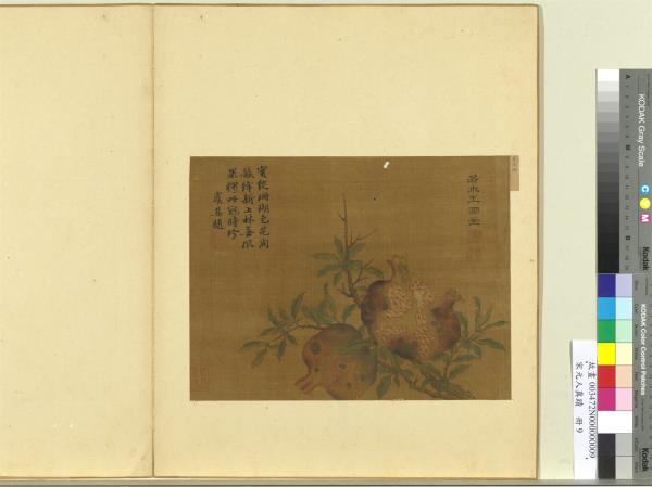 宋元人真蹟　冊　元王淵畫石榴