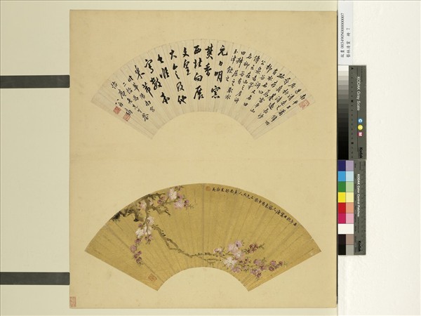 藝林清賞　冊　清朱璨英畫杏花