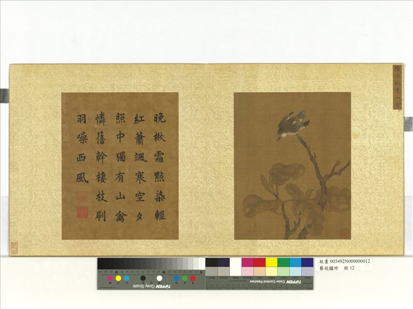 藝苑臚珍　冊　明陸治楸葉山禽