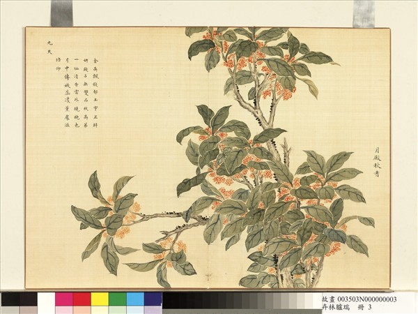 卉林臚瑞　冊　清人月殿秋香