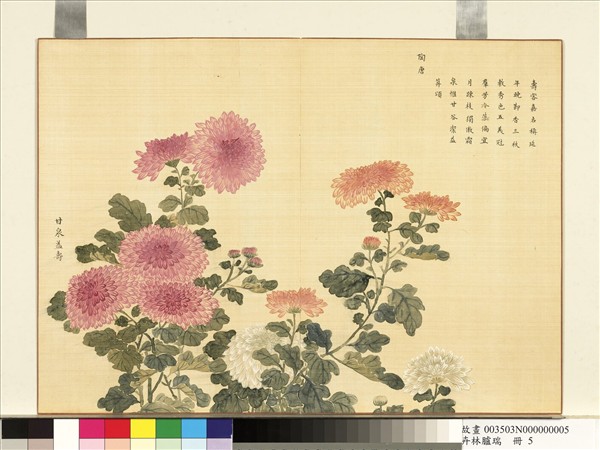 卉林臚瑞　冊　清人甘泉益壽