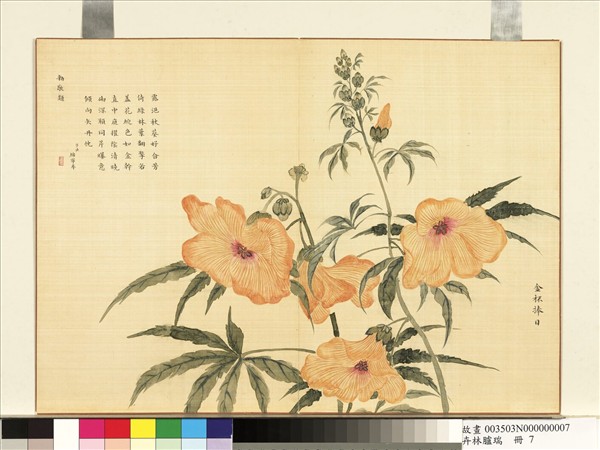 卉林臚瑞　冊　清人金杯捧日