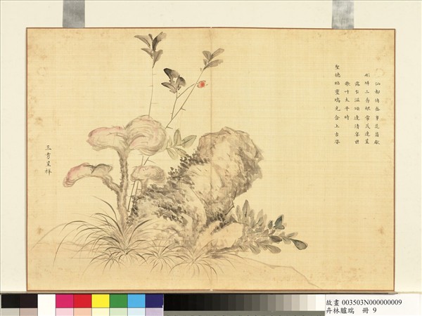 卉林臚瑞　冊　清人三秀呈祥