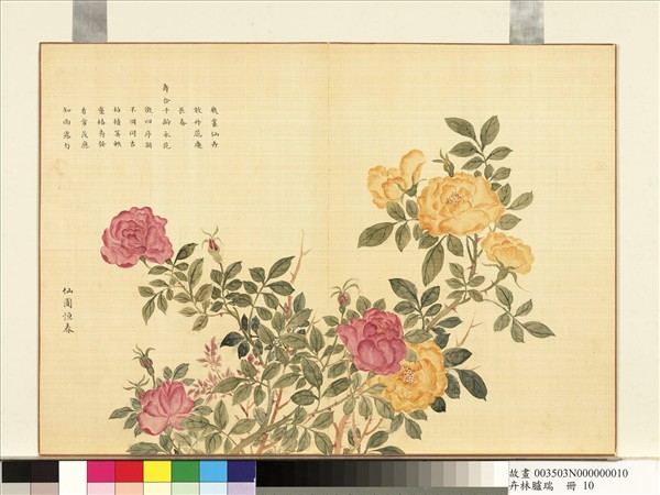 卉林臚瑞　冊　清人仙圃恆春