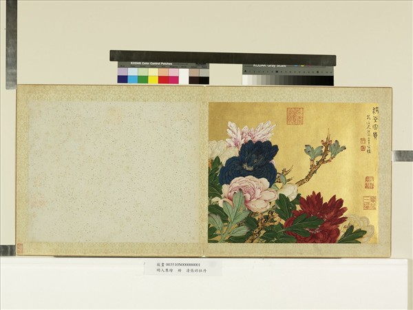 明人集繪　冊　清張昉牡丹