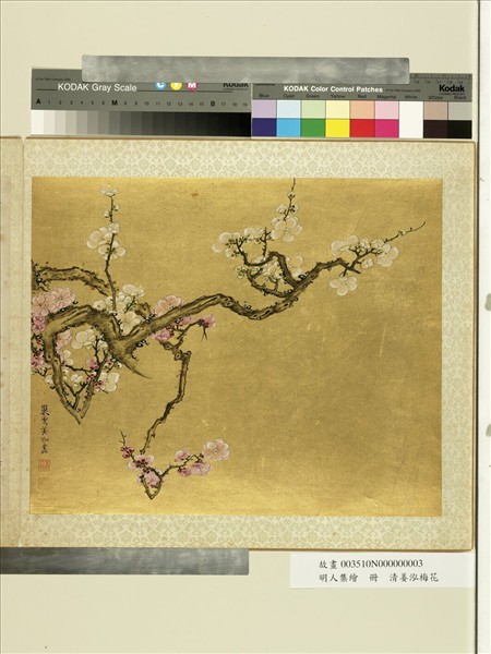 明人集繪　冊　清姜泓梅花