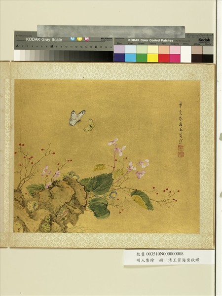 明人集繪　冊　清王質海棠秋蝶