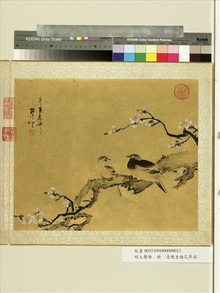 明人集繪　冊　清陳皇梅花翠羽