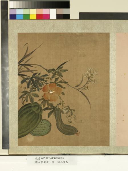 明人花果冊　冊　明人畫瓜